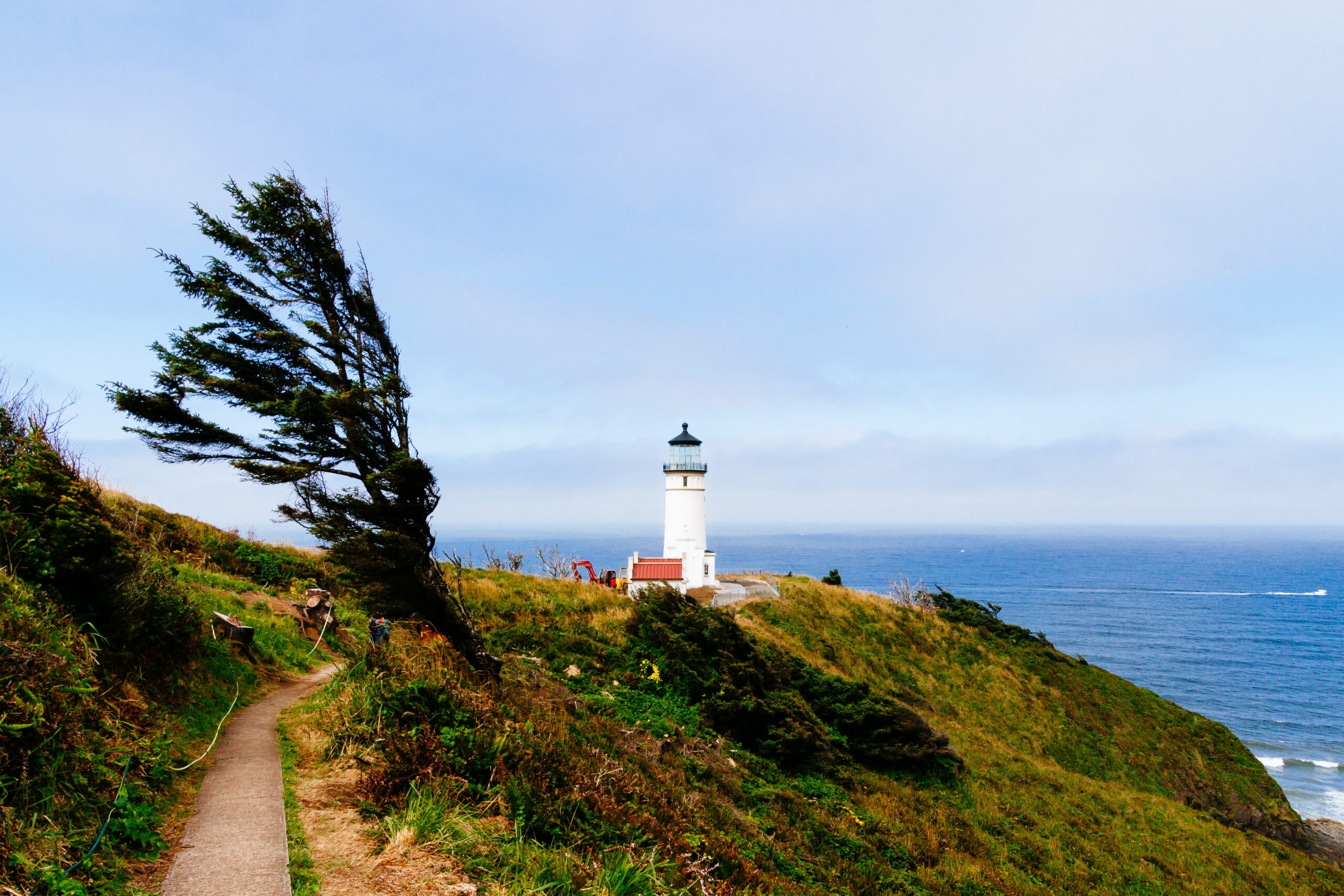 Ein einsamer Leuchtturm steht an einer windgepeitschten K&uuml;ste, w&auml;hrend ein stark geneigter Baum dem Wind standh&auml;lt &ndash; ein Sinnbild f&uuml;r Orientierung, Stabilit&auml;t und F&uuml;hrung in herausfordernden Zeiten.